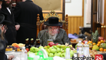 Tu Bshvat by Rebbes and Rabunim - Part 2